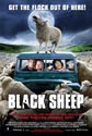   (Black Sheep)